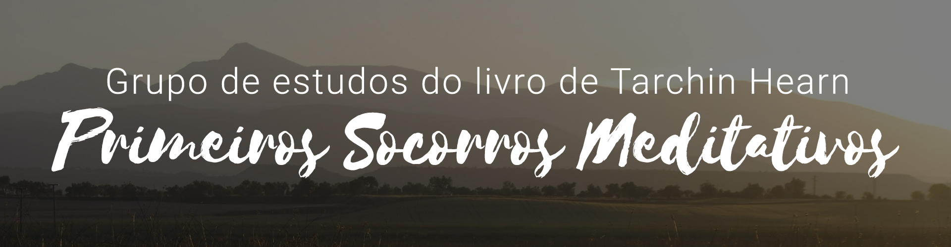 Capa do livro Primeiros Socorros Meditativos - Tarchin Hearn