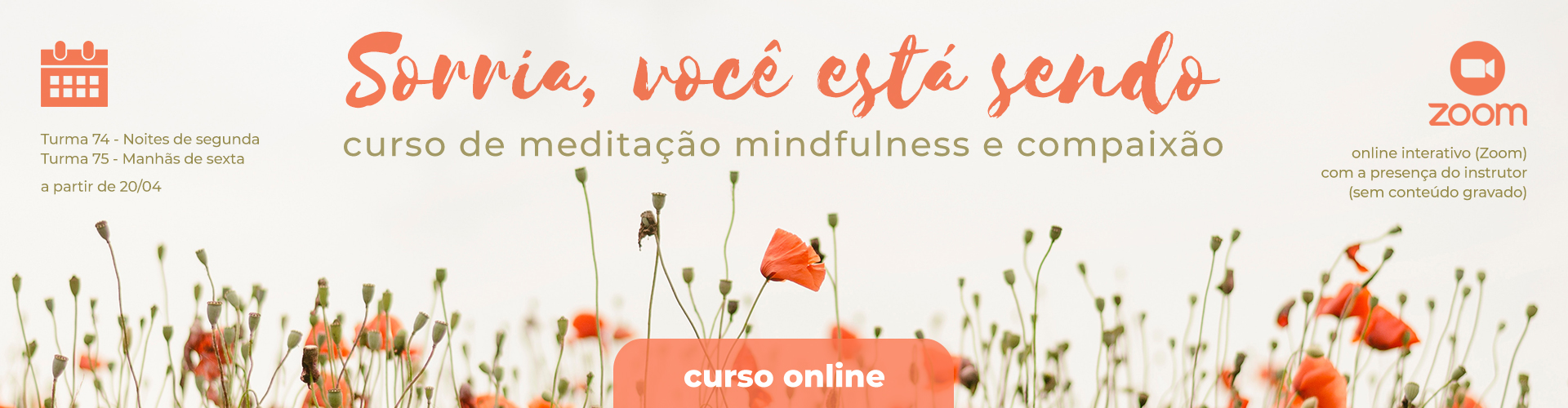 Curso Introdutório 8 Semanas